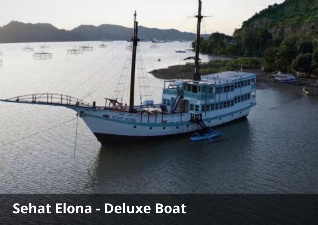 Sehat Elona Phinisi – 4D3N Komodo Liveaboard