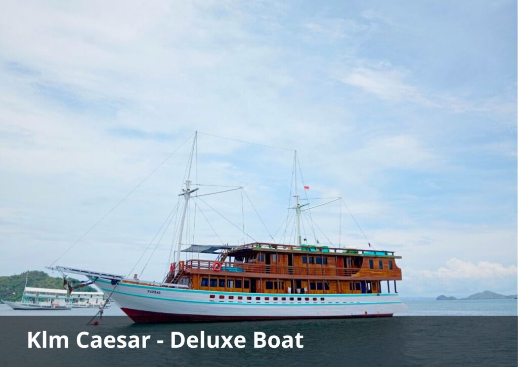 KLM Caesar – Luxury Komodo Phinisi 4D3N Cruise